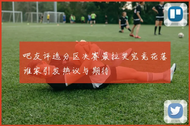 吧友评选分区决赛最拉奖究竟花落谁家引发热议与期待